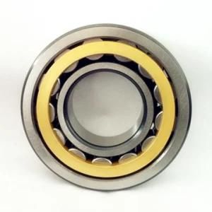 Cylindrical Roller Bearings