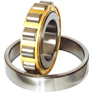 Rollers for Shower Room Nu408 Em Chik Cylindrical Roller Bearing Nu408