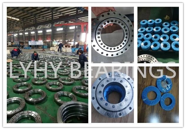 Internal Gear Slewing Ring Bearing 1078DBS101y Rotary Bearing