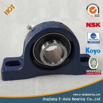 Deep Groove Ball Bearing 6204zz Automotive Gearbox Ball Bearing 6204-2z Motor Alternator Bearing