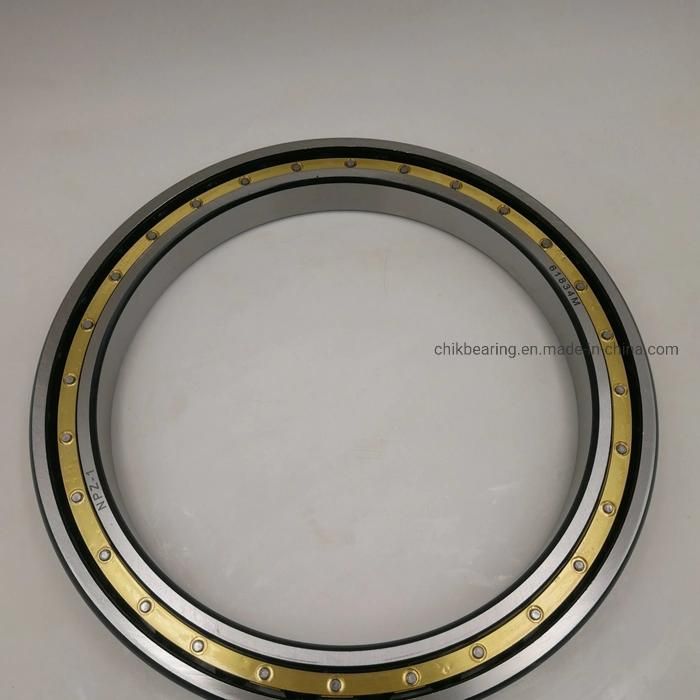 16001 16002 16003 16004 16005 16006 16007 2RS Zz C3 Open Radial Deep Groove Ball Bearing