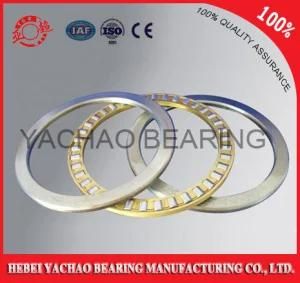 Thrust Roller Bearing (81117)