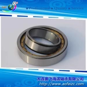 Large Size Range Cylindrical Roller Bearing NU1060M Bearing