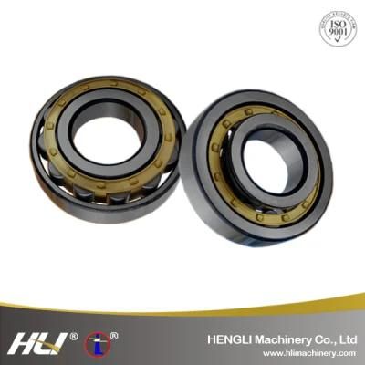 High Load NJ219 95MM*170MM*32MM Cylindrical Roller Bearing For Agricultural Machinery