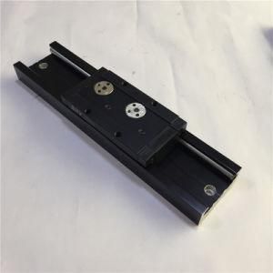 Double Axis Linear Guide Rail Made in Shenzhen Isgb15uu-4