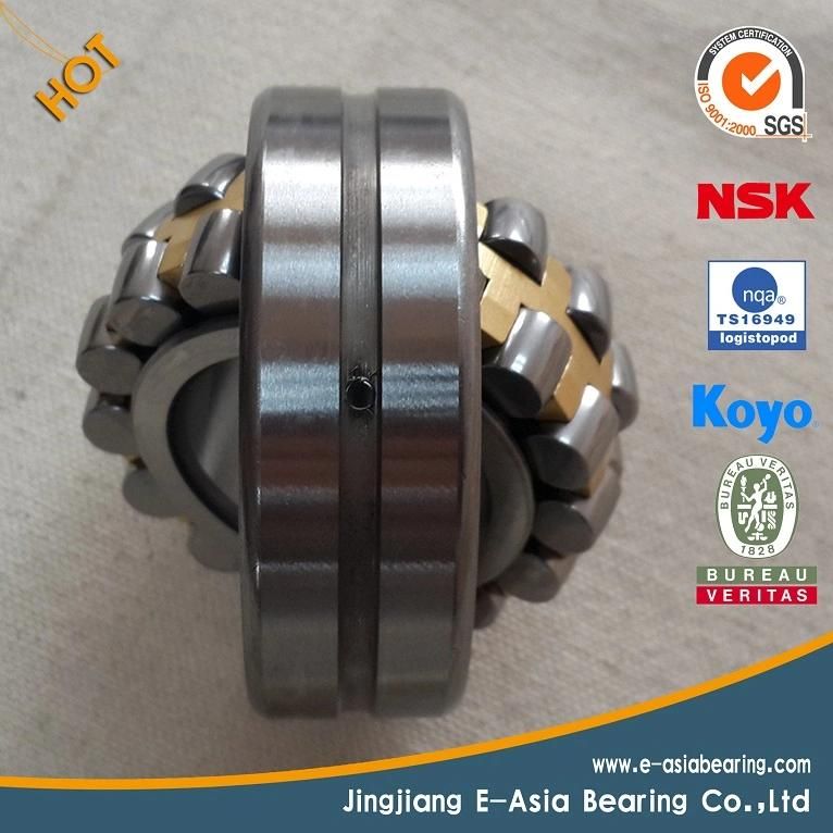 Zwz Cylindrical Roller Bearings