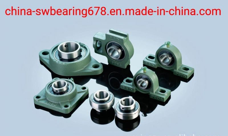 Chrome Steel/Stainless Steel Pillow Block Bearing with Cast Iron Flange UCP205 Bearing