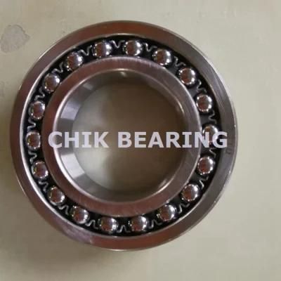 1300/1300K Series Self-Aligning Ball Bearing 1304aktn 1305aktn 1306aktn 1307aktn 1308aktn 1309aktn 1310aktn