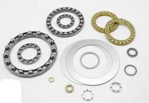 Plane Thrust Bearing with End Ring