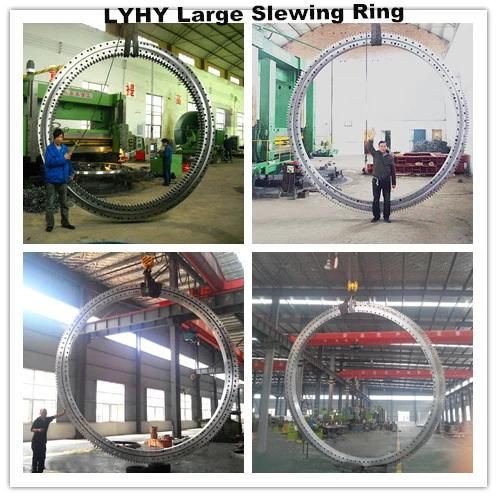 Single Row Ball Slewing Rings for Rotating Carousels 11-25 1255/0-03150