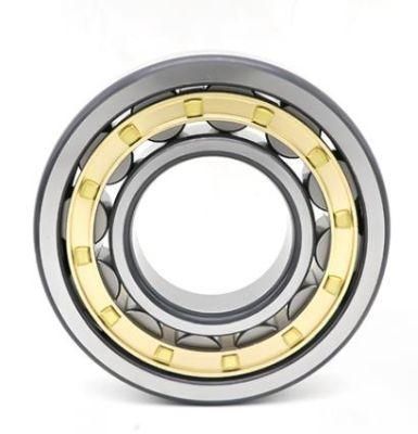 N303-N322 Factory Quality Cylindrical Roller Bearing
