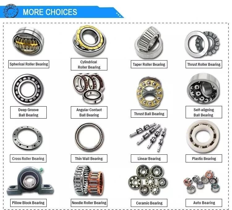 Ss6201 Double Shielded Deep Groove Ball Bearing Ss6002 Bearing with Stainless Steel Wheel Bearing Auto Parts Auto Bearing Rolling Bearing Motor Rodamietos