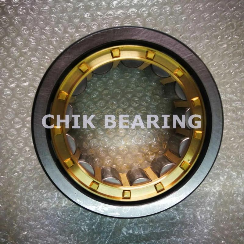 Double Row Cylindrical Roller Bearings for Oil Pump Nnf5020
