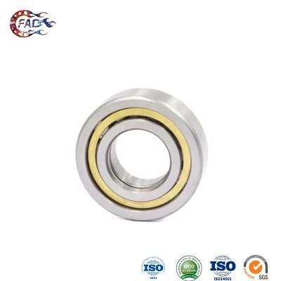 Xinhuo Bearing China 6201 Bearing Manufacturer R8 2RS Bearing N316e N Type Cylindrical Roller Bearing