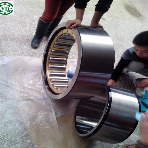 Nup409e-Tvp2 Nup409e. Tvp2 Brass NSK Nylon Cage Cylindrical Roller Bearing