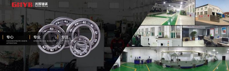 China′ S Professional Bearing Factory, The Production of High Standard Miniature Bearings Deep Groove Ball Bearings 6008-2RS