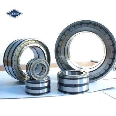 Sealed Full Complement Cylindrical Bearing with Double Rows (NNF5048ADA-2LSV)