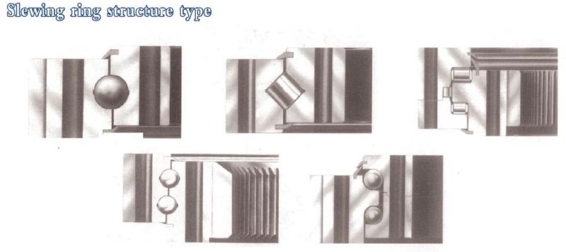 External Gear Slewing Ring 161.36.1900.890.11.1503 Bearing Ring Roller Swing Bearing