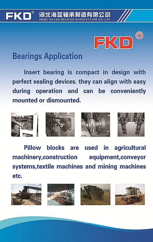 OEM Manufacture/ISO Certificate/Steel Ball/Bearing/Bearings/Ball Bearing/Adapter Sleeve/Pillow Block Bearing