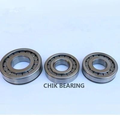 Precision Cylindrical Roller Bearing F-220543 for Hydraulic Pump