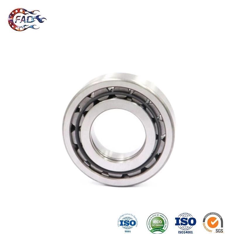 Xinhuo Bearing China Miniature Ball Bearing Suppliers 6210 RS Bearing Nj1013m Double Row Cylindrical Roller Bearing