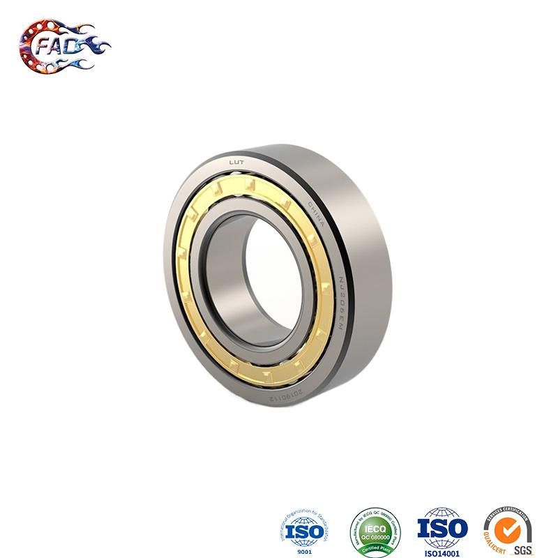 Xinhuo Bearing China Axial Bearing OEM 6006z N311e Split Cylindrical Roller Bearing