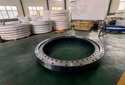 Hot Selling Single Row Turntable Bearing for R110LC-7