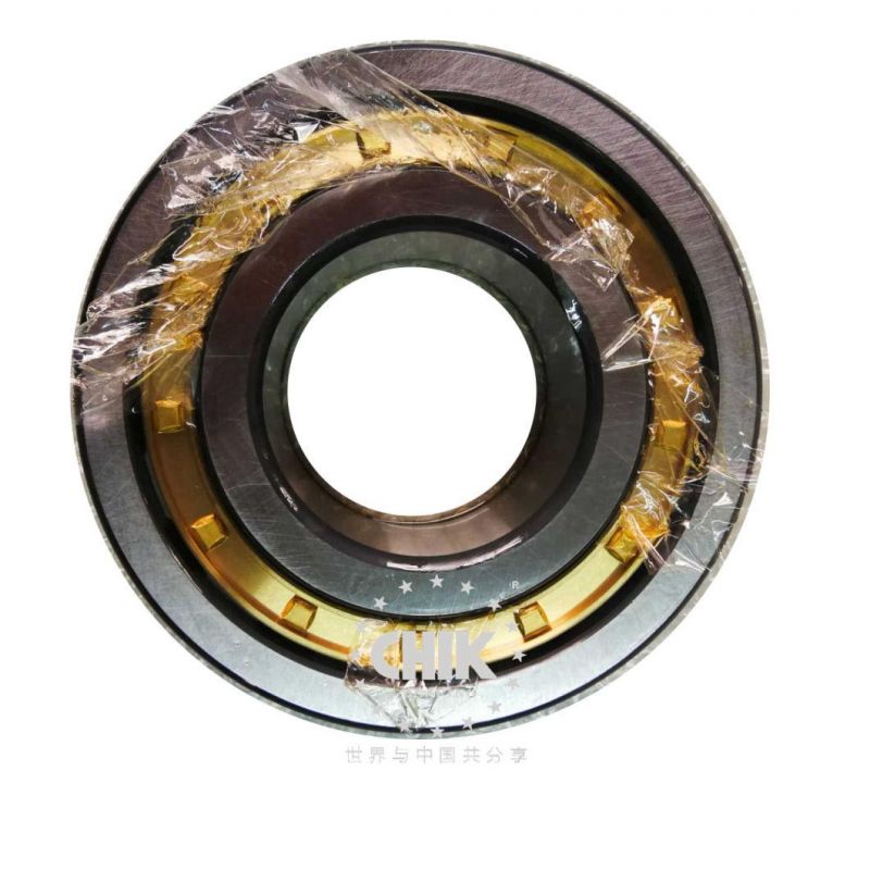 High Precision Spherical Roller Bearing 24036 Ca/W33 by OEM SKF