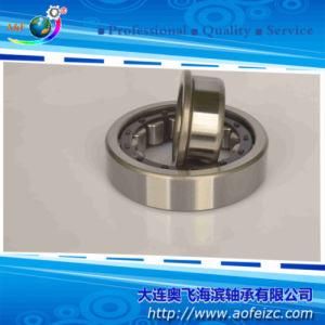 Cylindrical Roller Bearing (NJ336M)