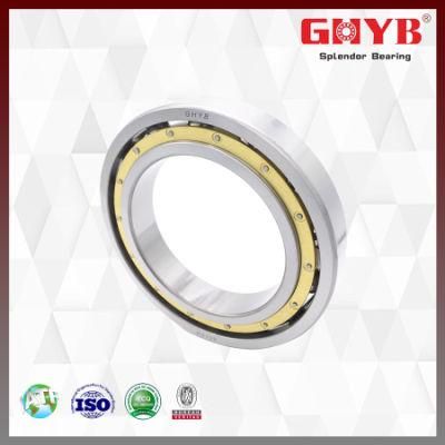 Automobile Parts Motor Generator 2rz 2RS Deep Groove Ball Bearing