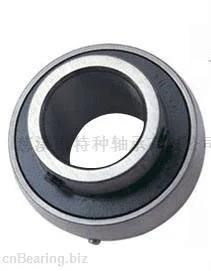 Insert Ball Bearing