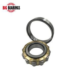 Nj204 NF305 N310 Nu214 Nu314 Nup307 Full Complement Single Row Cylindrical Roller Bearing