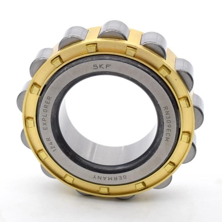 Auto Parts NSK Without Outer-Ring Cylindrical Roller Bearing Rn306 Rn307 Rn307m