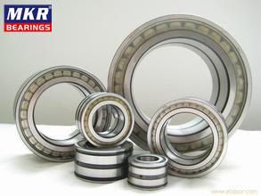 2017 Hot Sales Product Cylindrical Roller Bearing N319