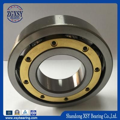 6316/6316zz/6316-2RS Deep Groove Ball Bearing