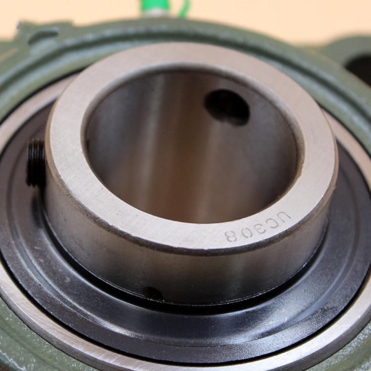 NSK Timken Koyo NACHI Snr IKO Ucf201 202 203 204 205 206 Pillow Block Bearing Branded Bearings