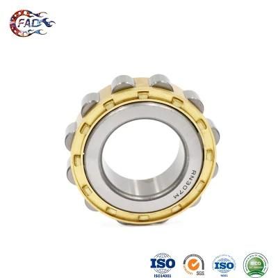 Xinhuo Bearing China Piston Bearing Product 5001 2RS Bearing NF308em Cylindrical Roller Bearing