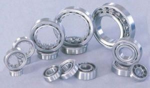 Roller Bearing Cylindrical Roller Bearings in Targe Stock