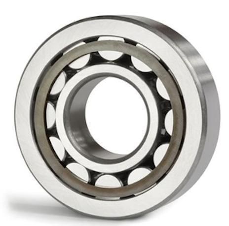 Cylindrical Roller Bearing Nup309 Cement Mixer 90m100