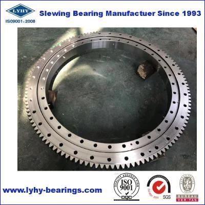 Lyhy Double Row Ball Slewing Bearings Turntable Bearings with External Gear 2de. 069.00