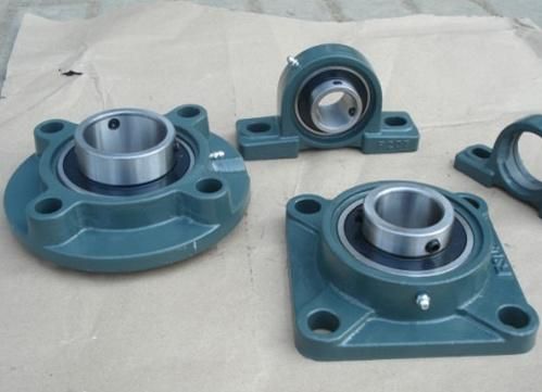 All Size Stainless Steel Bearing Housing Pillow Block Bearing with Long Life