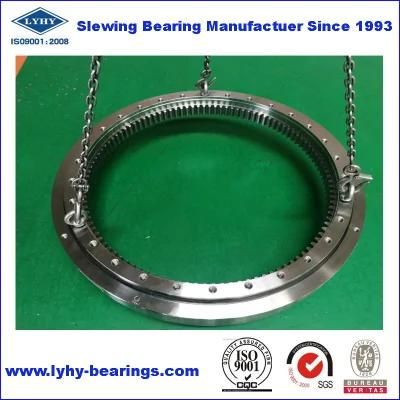 (RKS. 061.25.1314) Ball Bearing Slewing Ring Bearing (RKS. 061.25.1424) Turntable Bearing Gear Bearing (RKS. 061.25.1534)