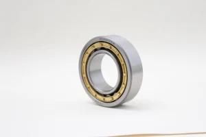 High Speed Cylinder Roller Bearing Nj1013em Nu2209em