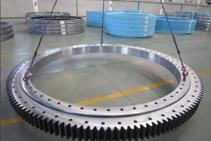 Slewing Ring Bearing E32D Series (E. 608.2.25.10. D. 6)
