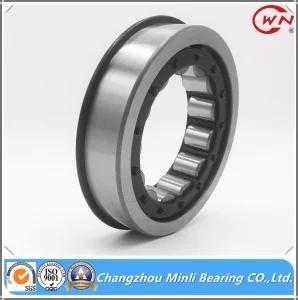 2018 China Factory Cylindrical Roller Bearing with Snap Ring