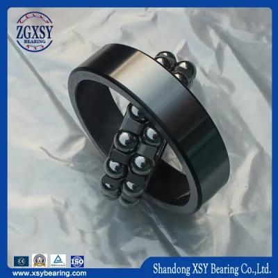 Bearing 1309 Etn9 Self-Aligning Bearing