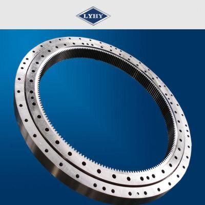 Cross Roller Slewing Ring Bearing with Internal Gears (162.50.3000.891.41.1503)