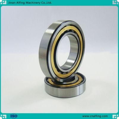 Factory Supply Cylindrical Roller Bearings Large Quantity Discount