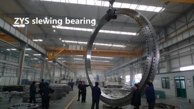China Good Price Large Size Turntable Bearing Slewing Bearing 010.75.3150 with Premium Quality