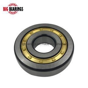 Single Row Cylindrical Roller Bearing Nu2210e Nu310e Nu2310e Nu410 Nu1011 Nu211e Nu2211e Nu311e Nu2311e Nu411 NSK NTN Koyo Bearing